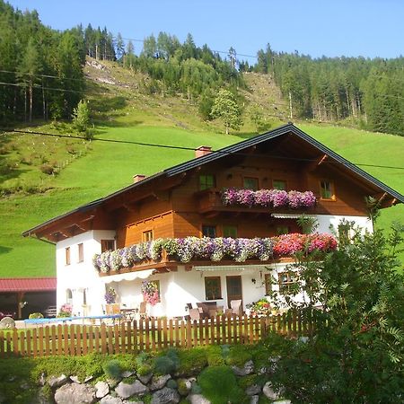 Untersteinhof Apartment ฟอร์สเทา ภายนอก รูปภาพ